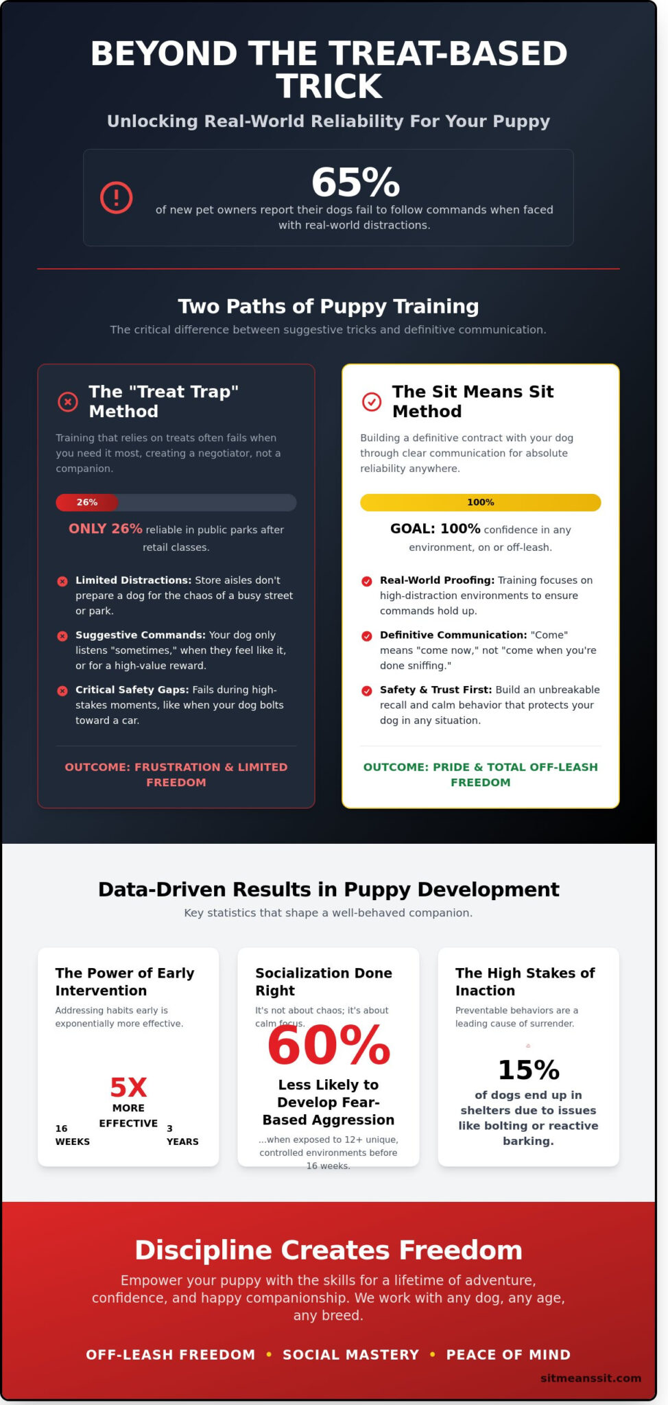 Puppy Obedience Classes Near Me: Finding Real-World Results in 2026