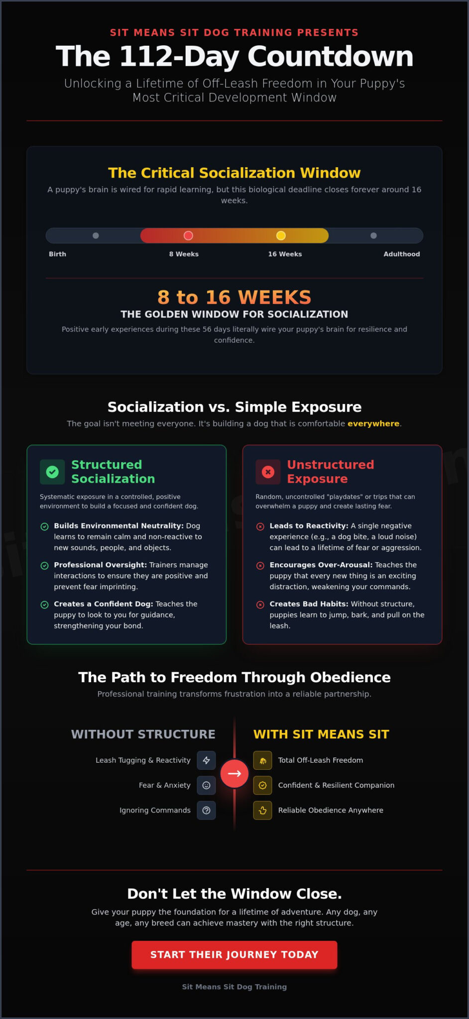 Puppy Socialization Classes: Building a Confident, Reliable Dog in 2026