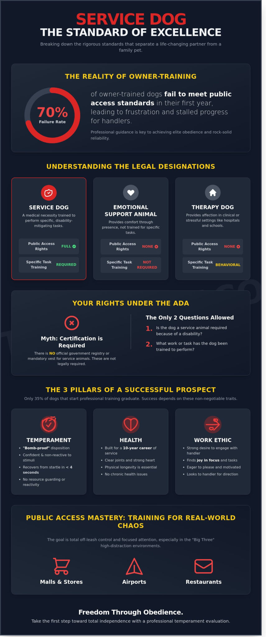 Service Dog Training: The Path to Total Reliability and Independence