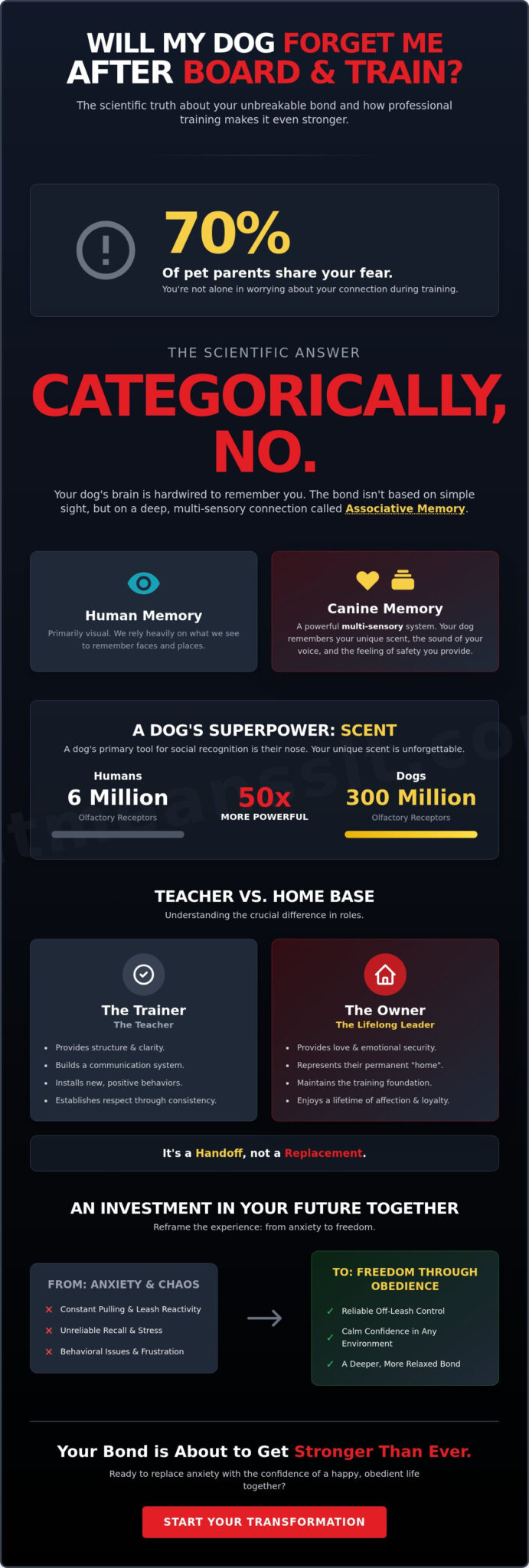 Will My Dog Forget Me After Board and Train? The Truth About Canine Memory