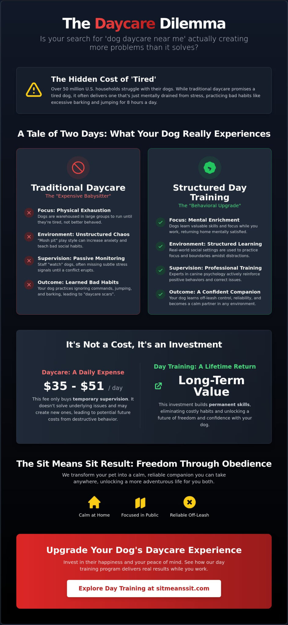Dog Daycare Near Me: Why Structured Day Training Delivers Better Results