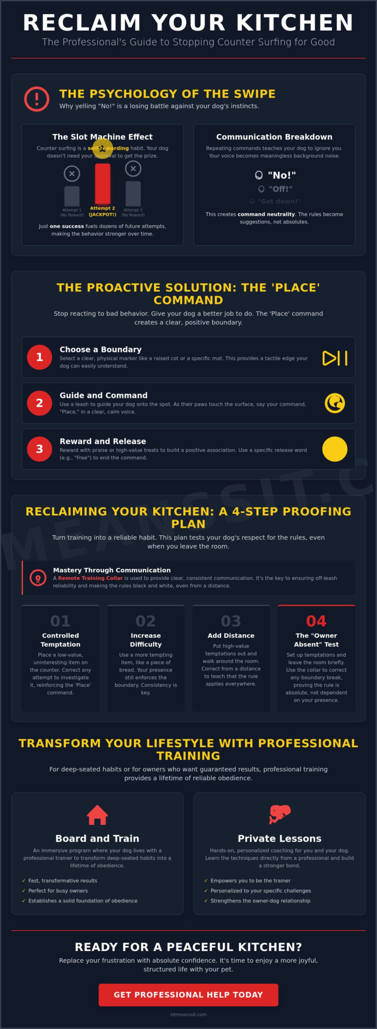 How to Stop a Dog From Jumping on the Counter: The Definitive Guide to Ending Counter Surfing