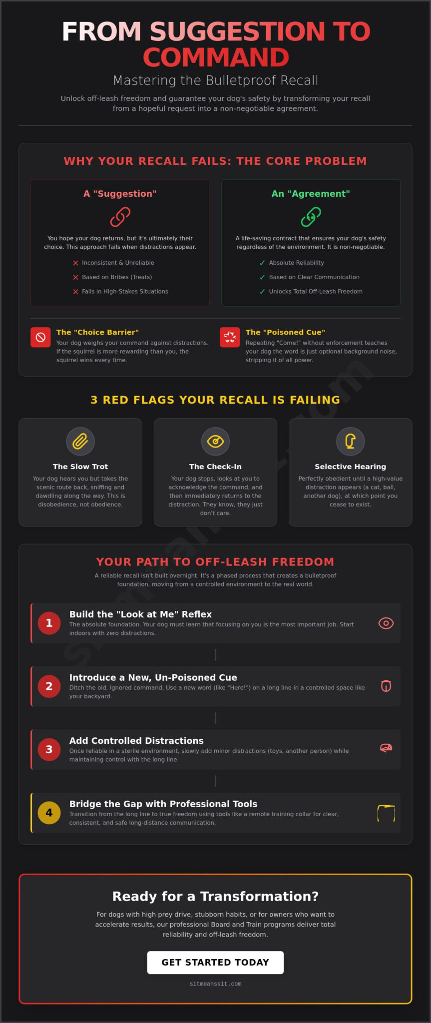 How to Teach a Reliable Recall Command: The Path to Total Off-Leash Freedom