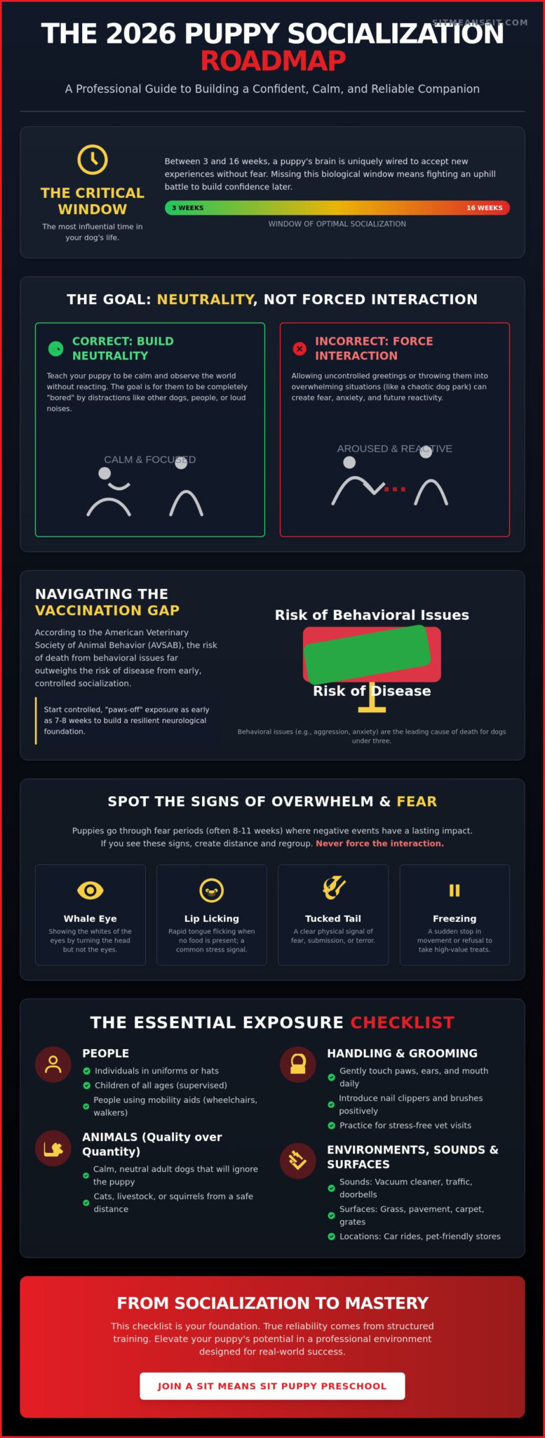 Puppy Socialization Checklist: The Ultimate Guide to a Confident Dog in 2026