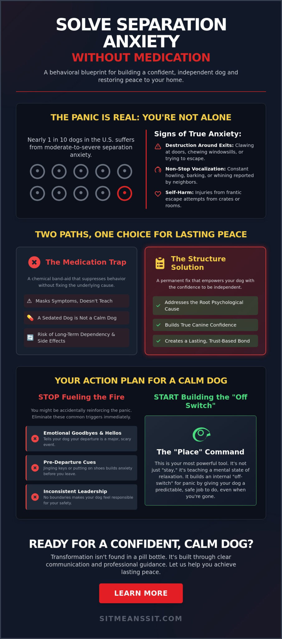 Solving Separation Anxiety Without Medication: A Results-Oriented Guide to Canine Confidence