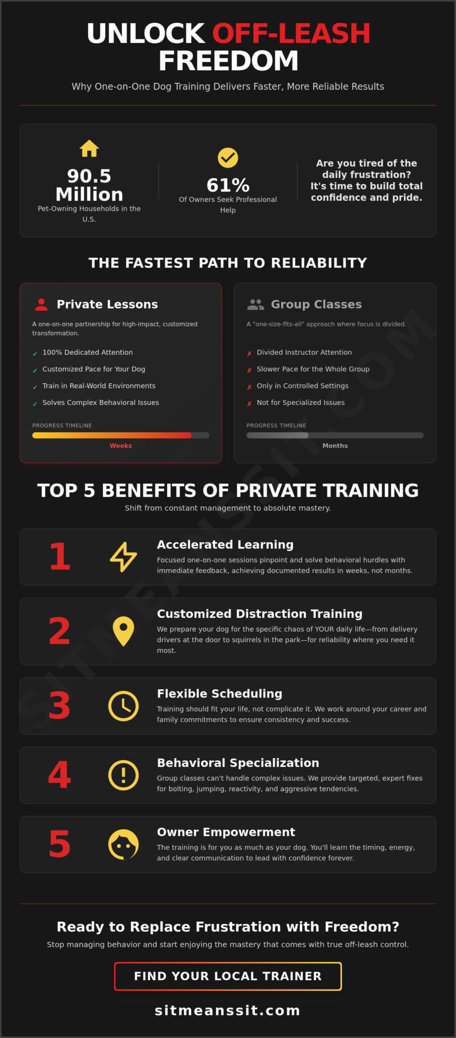 The Top Benefits of Private Dog Training Lessons for Off-Leash Mastery