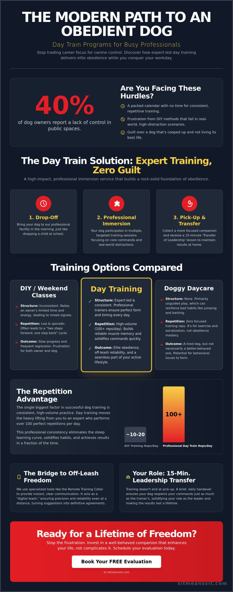Day Train Programs for Busy Professionals: The Efficient Path to a Well-Behaved Dog