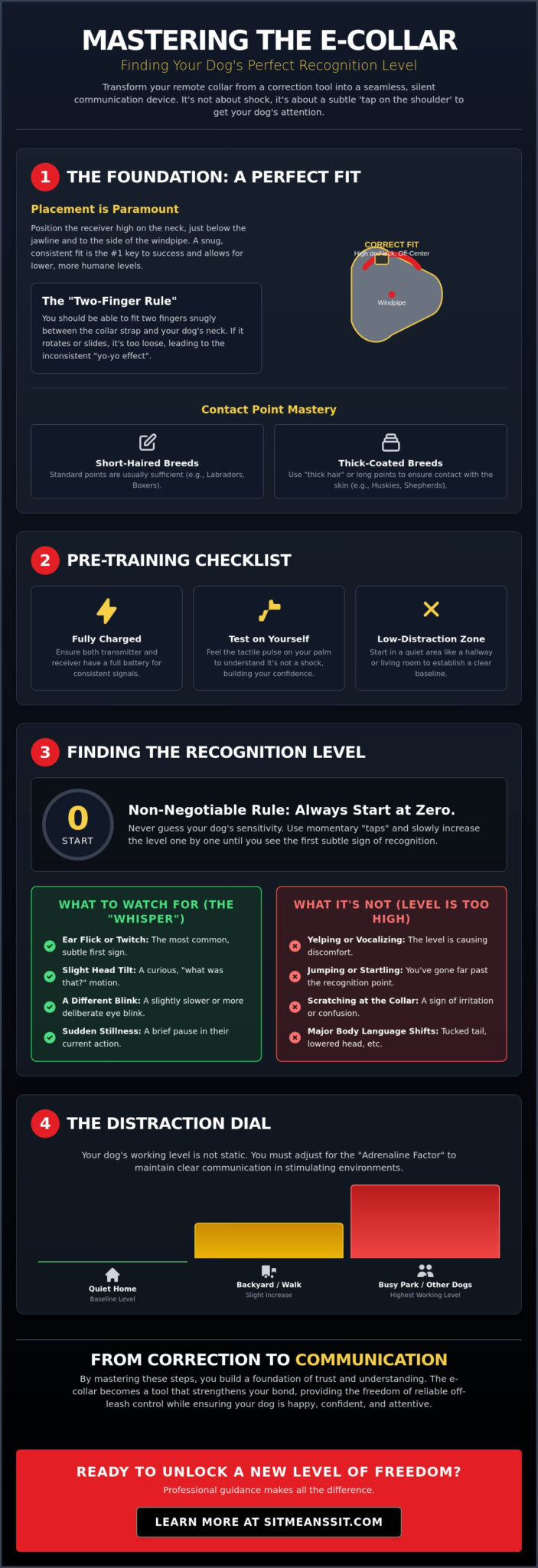 How to Find the Right Working Level on an E-Collar: The Complete Guide