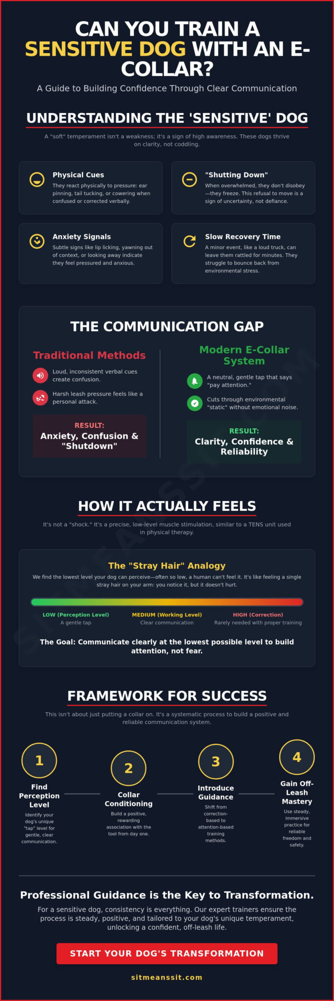 Can You Train a Sensitive Dog with an E-Collar? The Truth About Gentle Communication