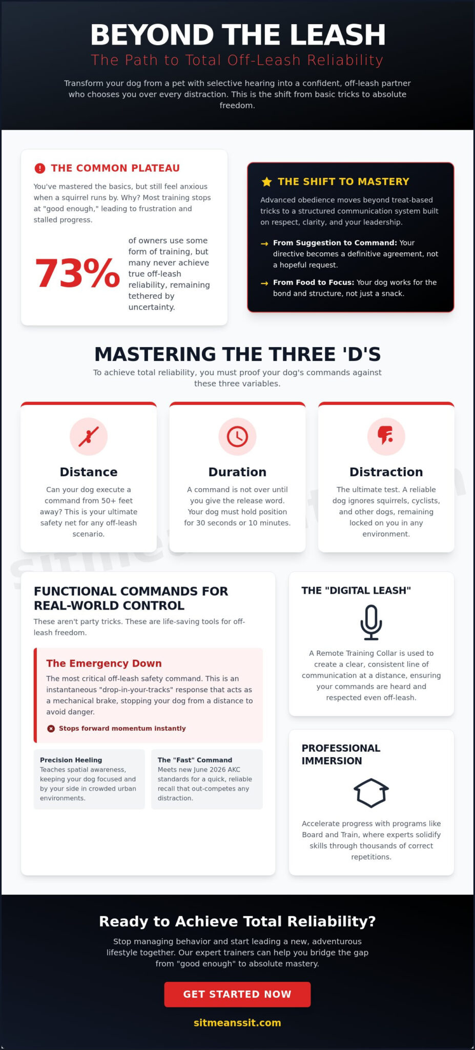Advanced Obedience Commands to Teach Your Dog for Total Reliability