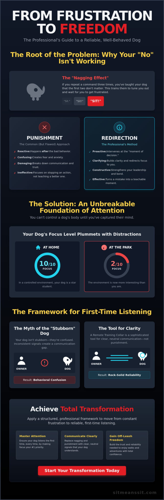 How to Properly Correct a Dog’s Bad Behavior: From Frustration to Reliability