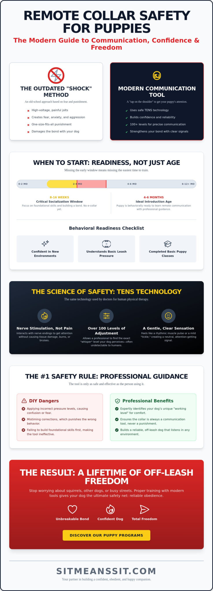 Are Remote Dog Collars Safe for Puppies? The Truth About Modern Training in 2026