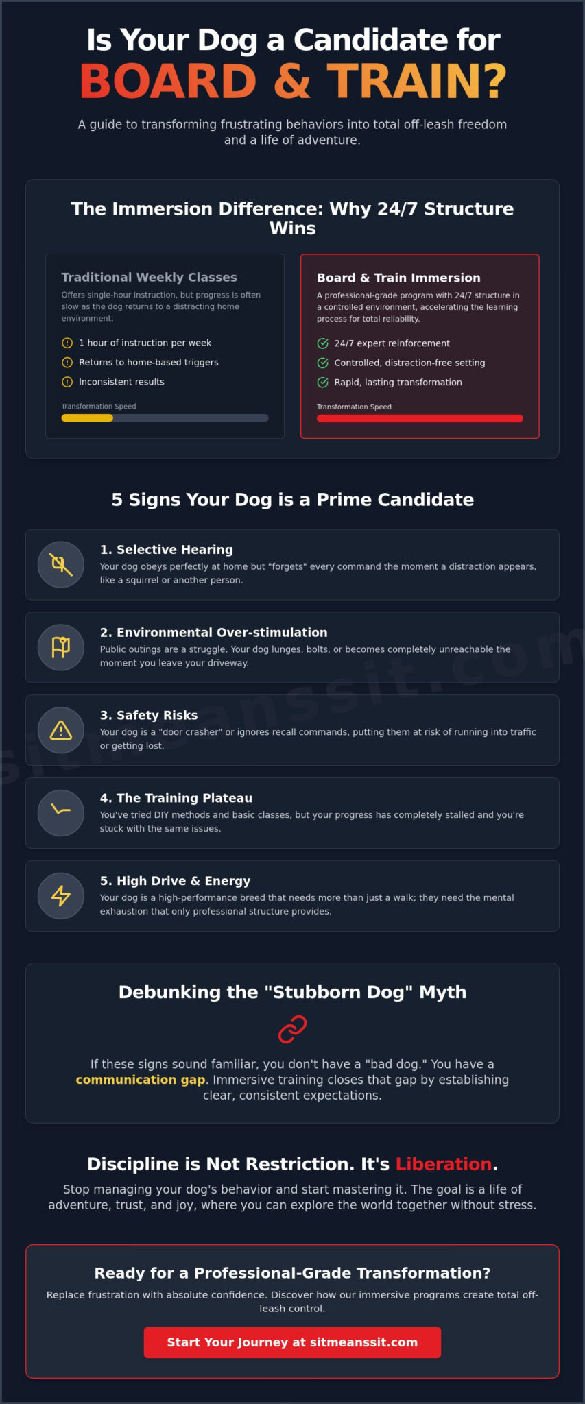 Is My Dog a Candidate for Board and Train? The Ultimate 2026 Evaluation Guide