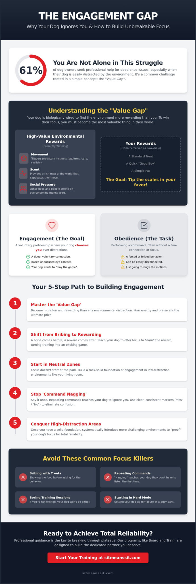 Building Engagement with a Distracted Dog: A Pro Guide to Total Focus in 2026