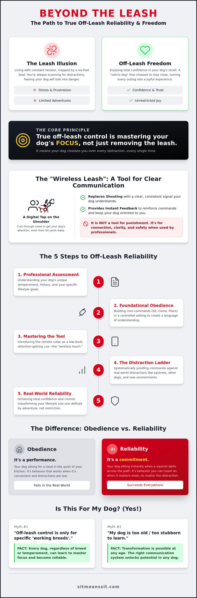 Off-Leash Dog Training: Achieving Total Reliability in the Real World