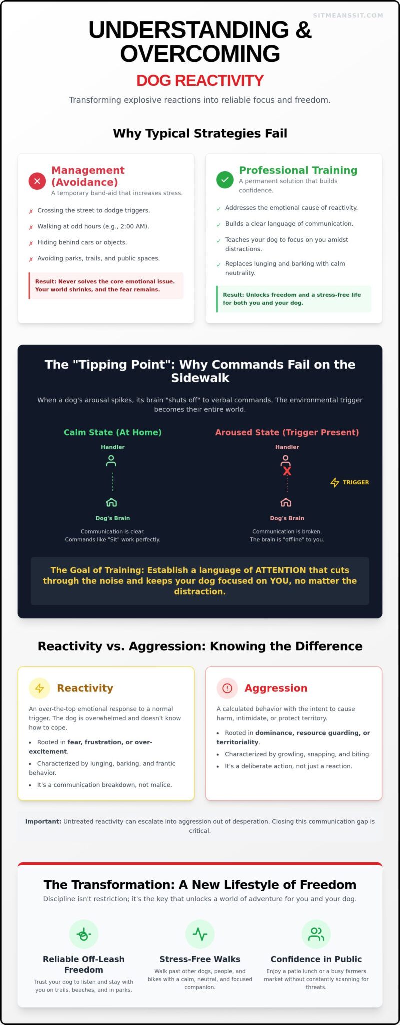 Dog Reactivity Training: Transform Chaos into Confident Control