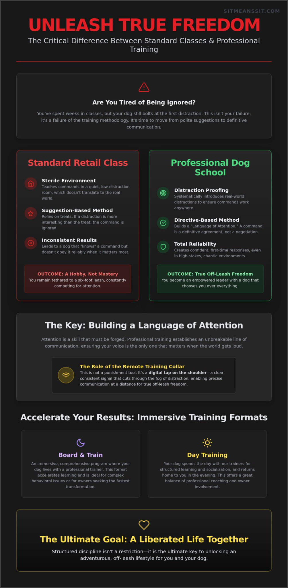 Dog Training School: Mastering Real-World Obedience and Off-Leash Control