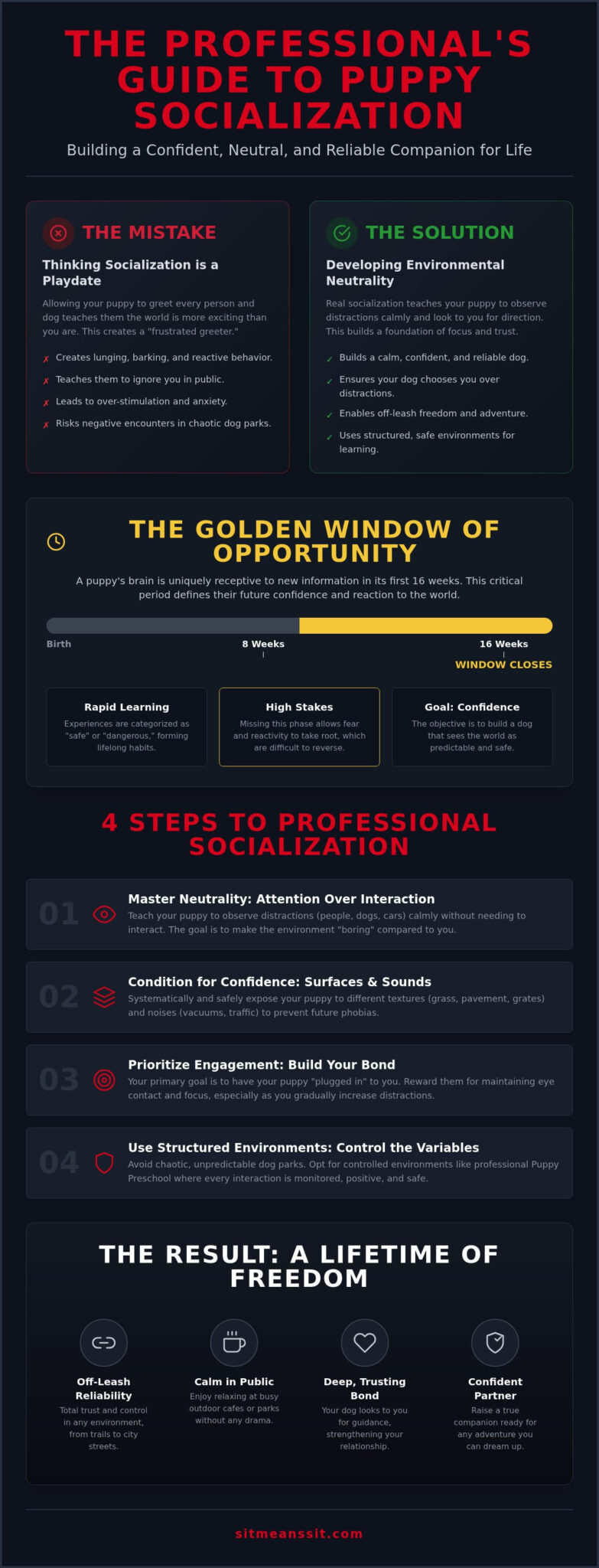 Puppy Socialization: Professional Guide to Focus & Freedom