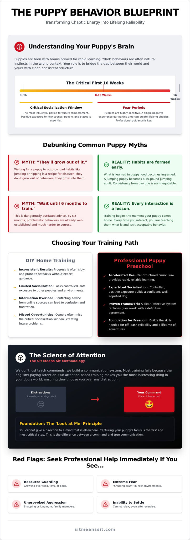 Puppy Behavior Training: The Complete Guide to Raising a Reliable Companion in 2026