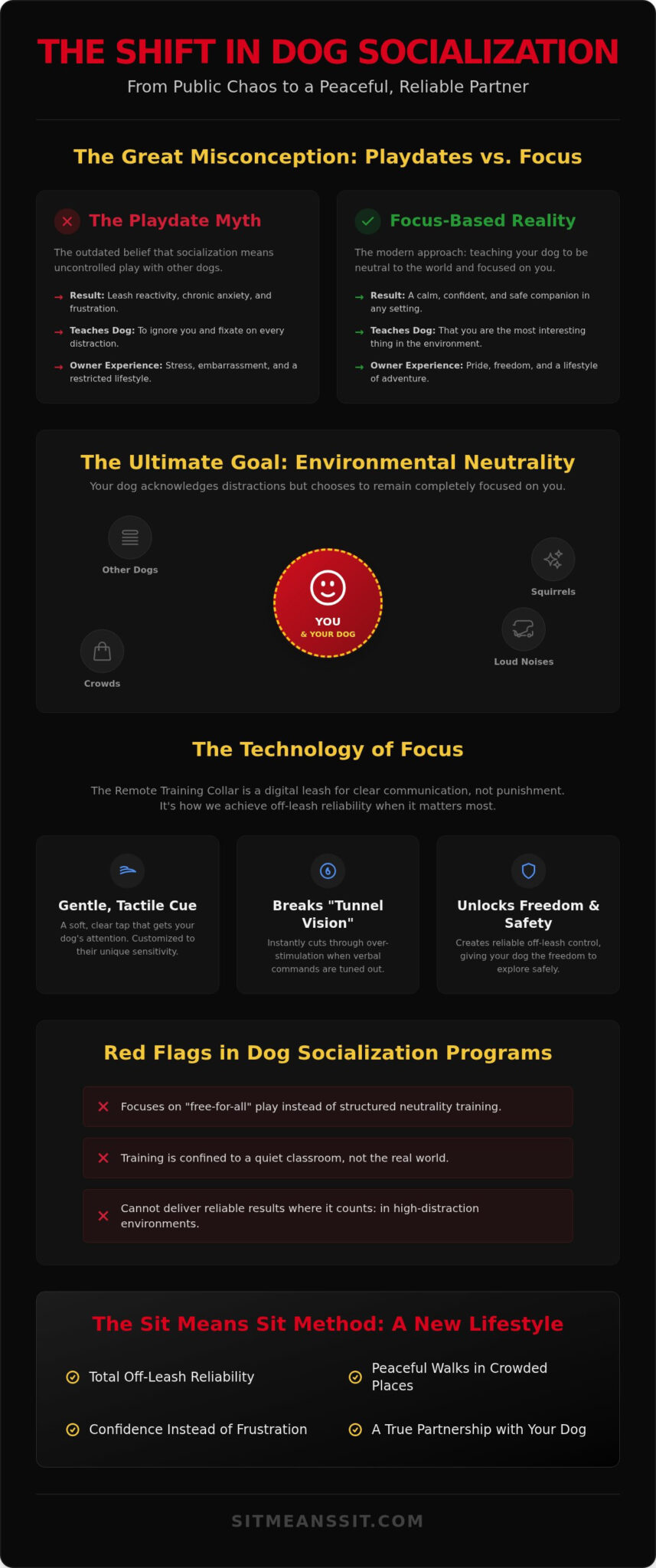 Dog Socialization Classes: Achieving Real-World Neutrality and Focus in 2026