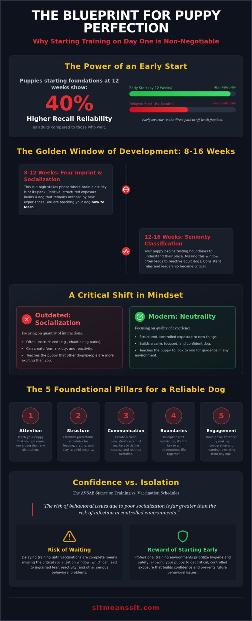 When to Start Puppy Training: 2026 Success Guide
